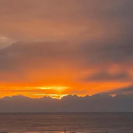 In Near & Napoleon Апартаменты