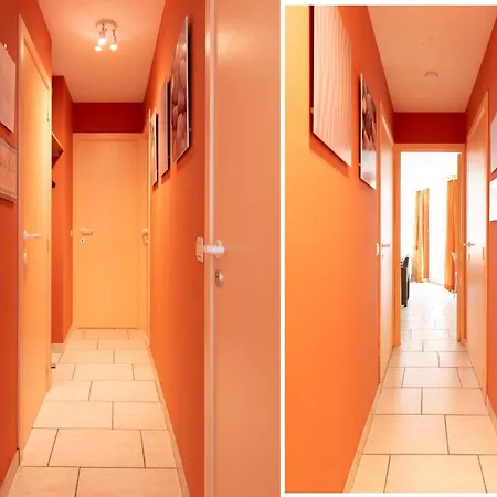 In Near & Napoleon *