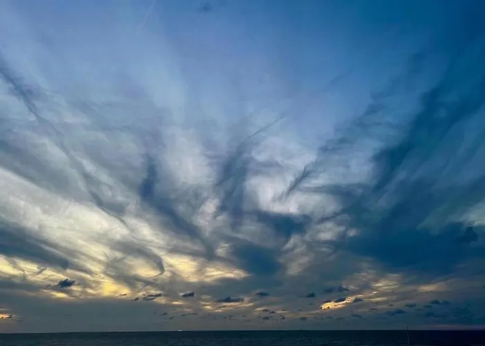 In Near & Napoleon Appartement *