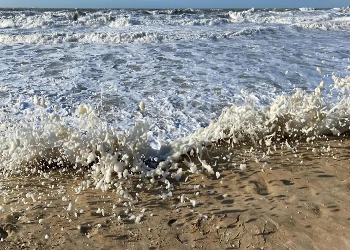 In Near & Napoleon *