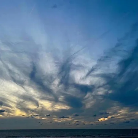 In Near & Napoleon Lejlighed *